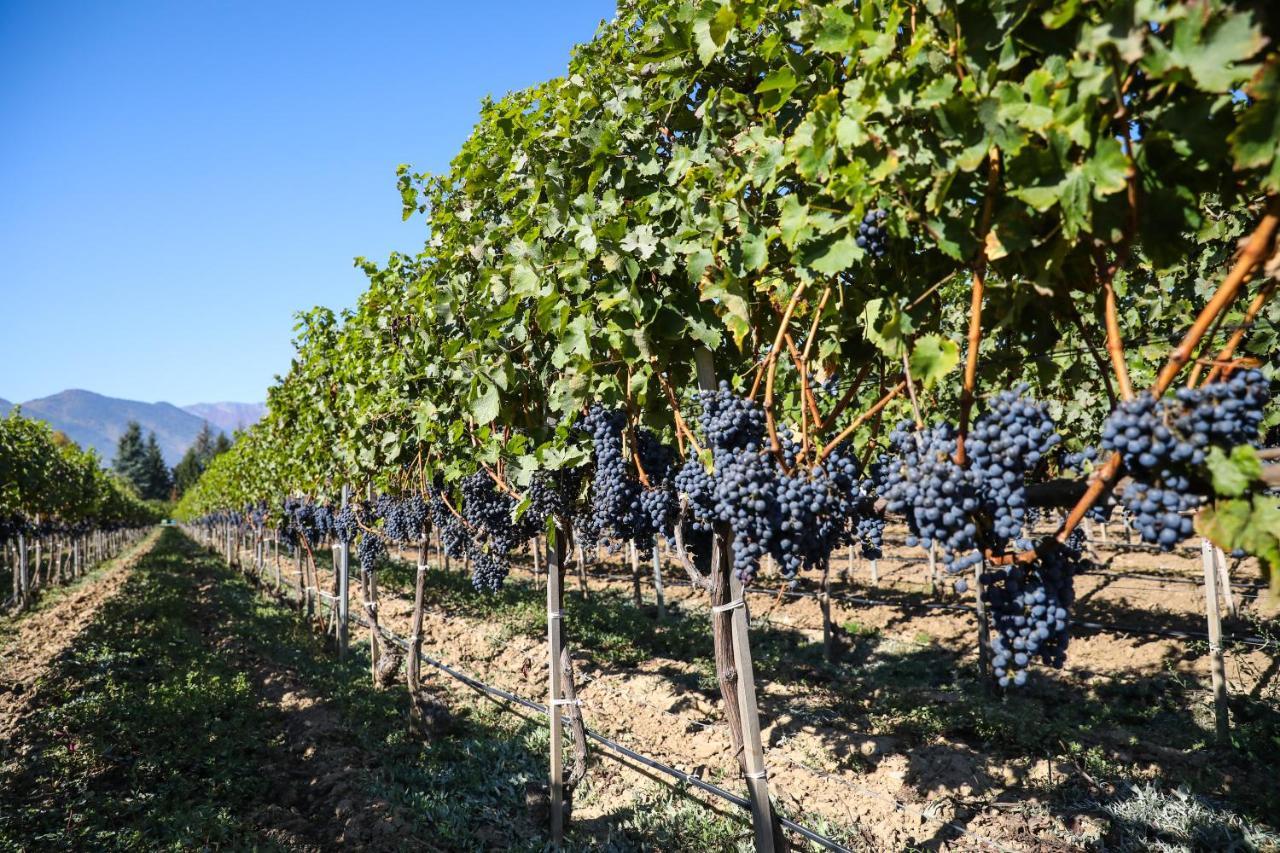 Uva Nestum Wine & Spa Ґоце-Делчев Екстер'єр фото